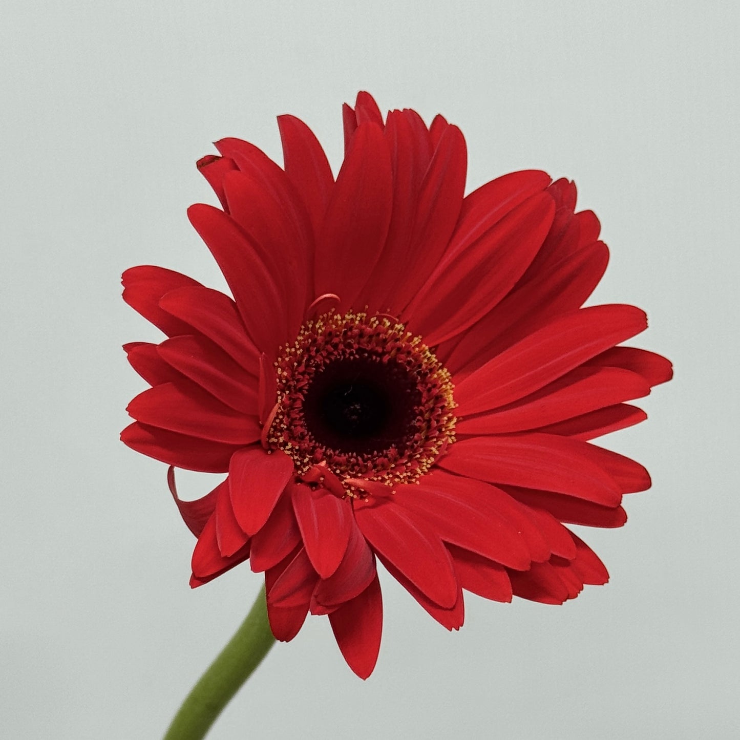 Connexions #17 - 30 x 24 cm